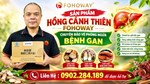 Giá Bán Hồng Cành Thiên Fohoway Và Công Năng Tác Dụng Thành Phần Chính
